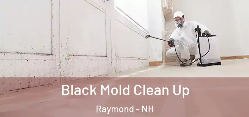 Black Mold Clean Up Raymond - NH
