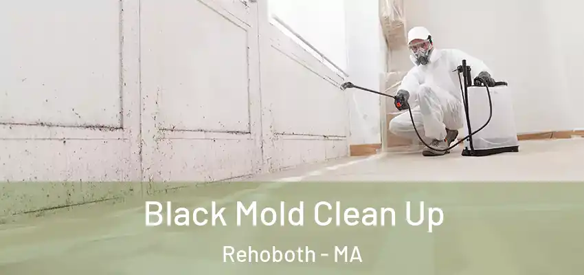  Black Mold Clean Up Rehoboth - MA