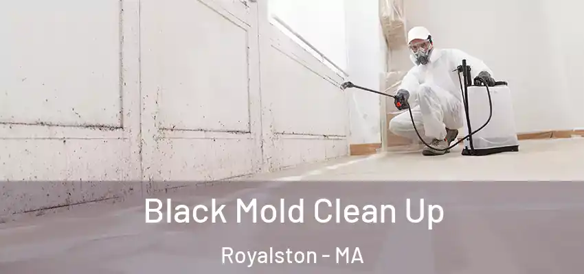 Black Mold Clean Up Royalston - MA