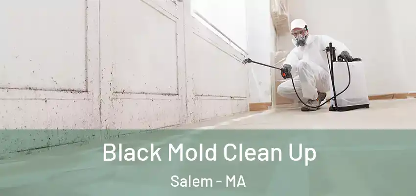 Black Mold Clean Up Salem - MA