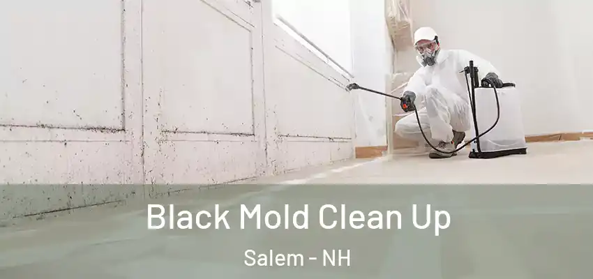 Black Mold Clean Up Salem - NH