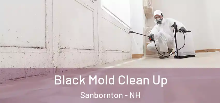 Black Mold Clean Up Sanbornton - NH