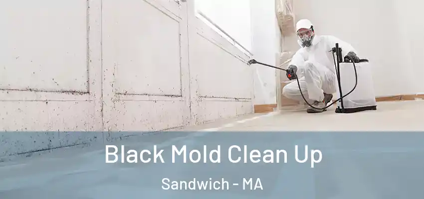  Black Mold Clean Up Sandwich - MA