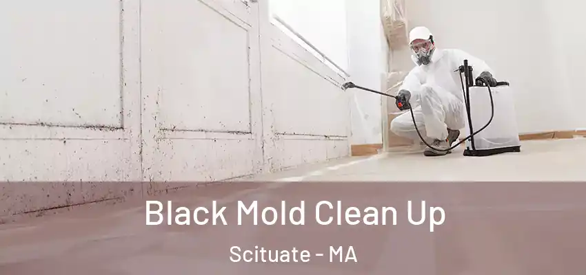 Black Mold Clean Up Scituate - MA