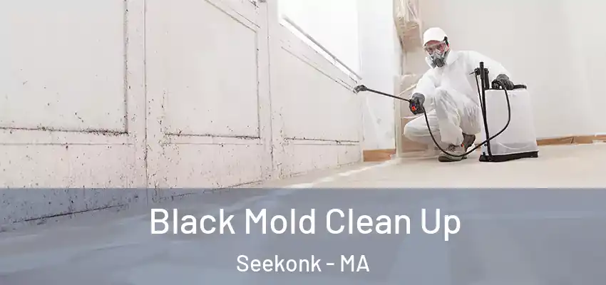 Black Mold Clean Up Seekonk - MA