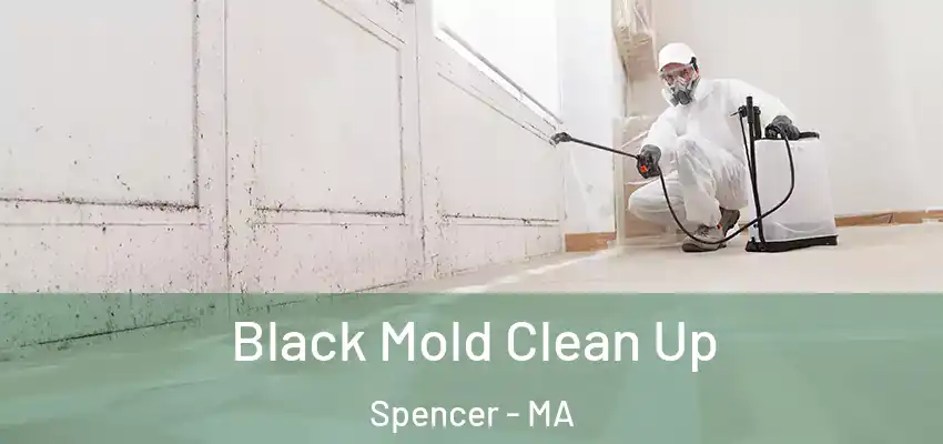  Black Mold Clean Up Spencer - MA