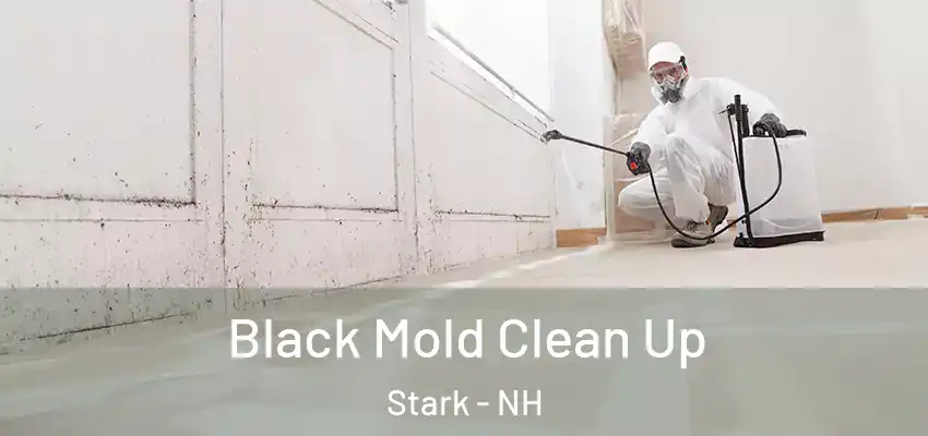  Black Mold Clean Up Stark - NH