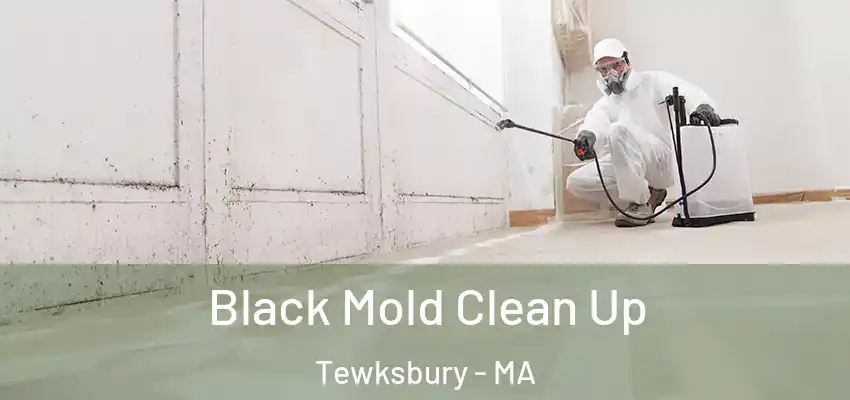  Black Mold Clean Up Tewksbury - MA