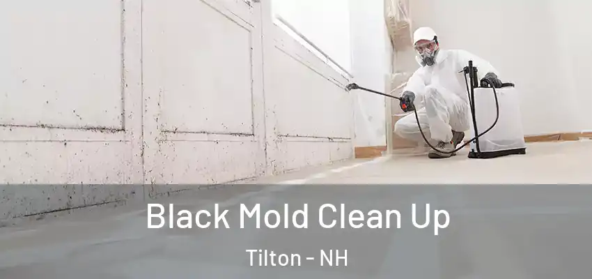  Black Mold Clean Up Tilton - NH