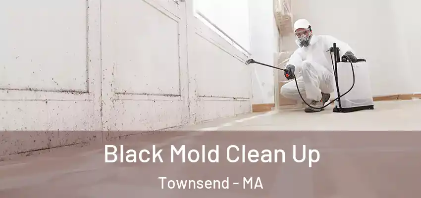  Black Mold Clean Up Townsend - MA