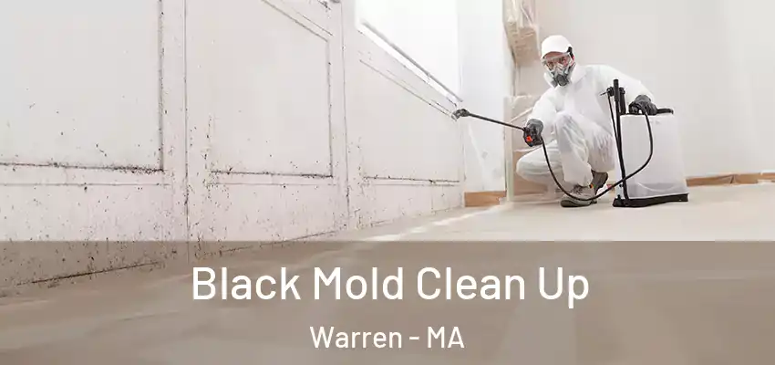 Black Mold Clean Up Warren - MA