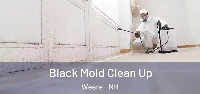 Black Mold Clean Up Weare - NH