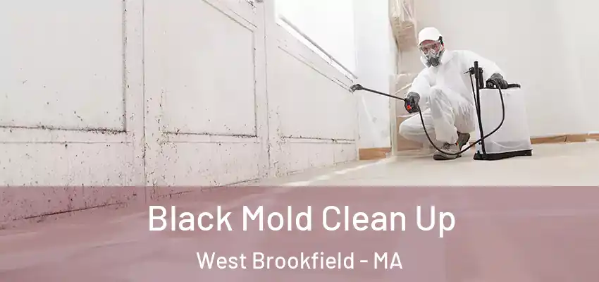  Black Mold Clean Up West Brookfield - MA