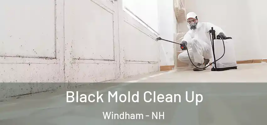 Black Mold Clean Up Windham - NH