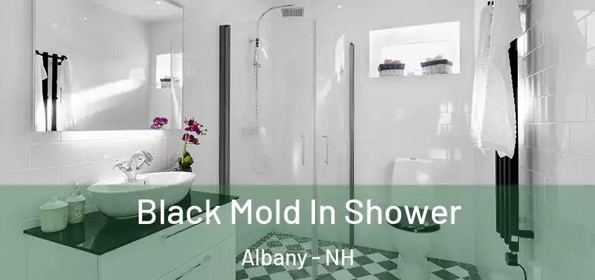 Black Mold In Shower Albany - NH
