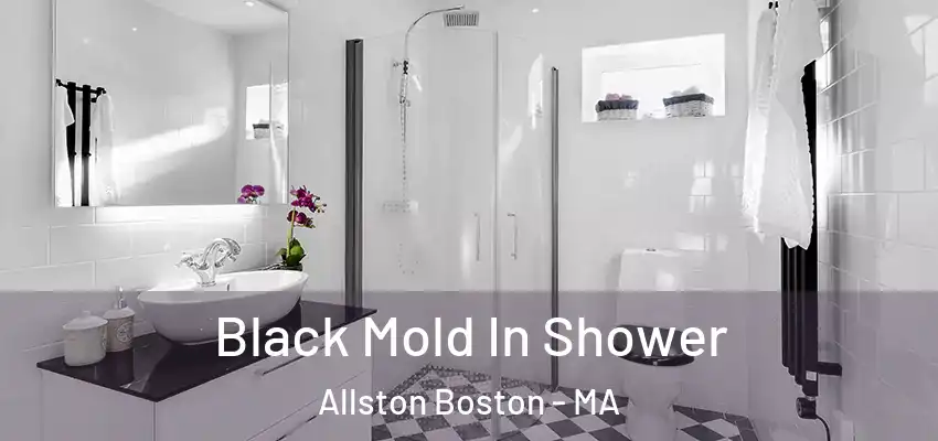  Black Mold In Shower Allston Boston - MA