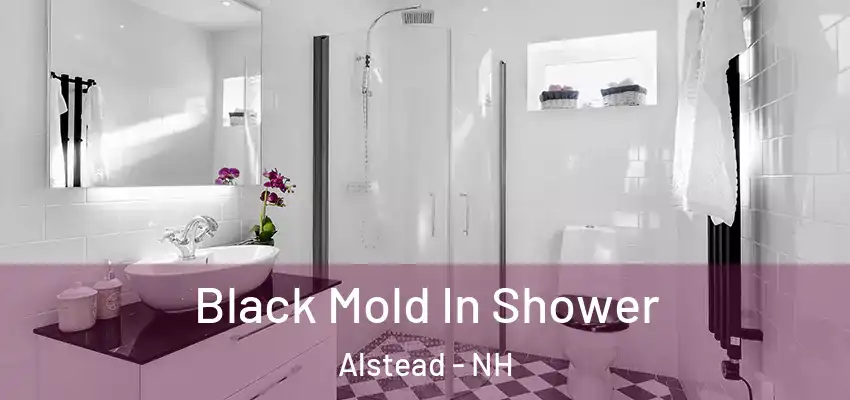  Black Mold In Shower Alstead - NH