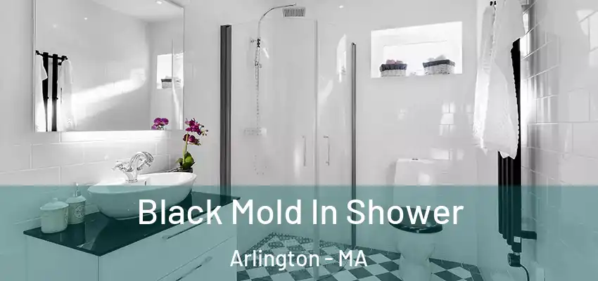 Black Mold In Shower Arlington - MA