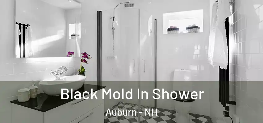 Black Mold In Shower Auburn - NH