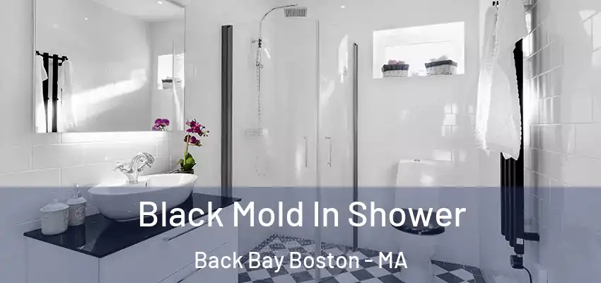 Black Mold In Shower Back Bay Boston - MA