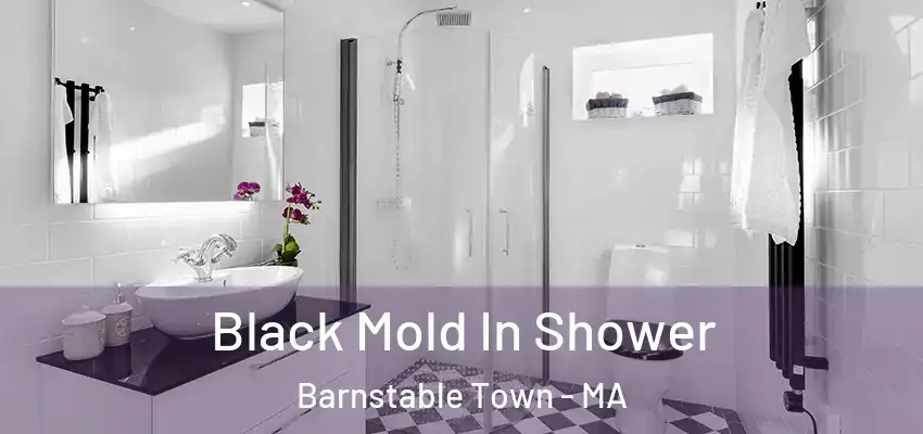  Black Mold In Shower Barnstable Town - MA