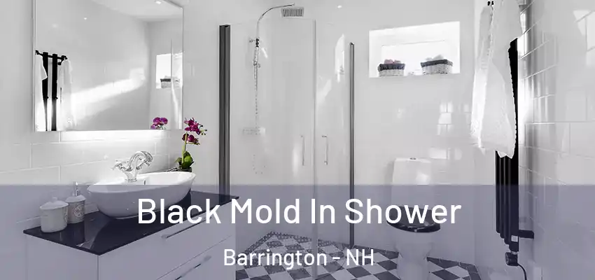  Black Mold In Shower Barrington - NH
