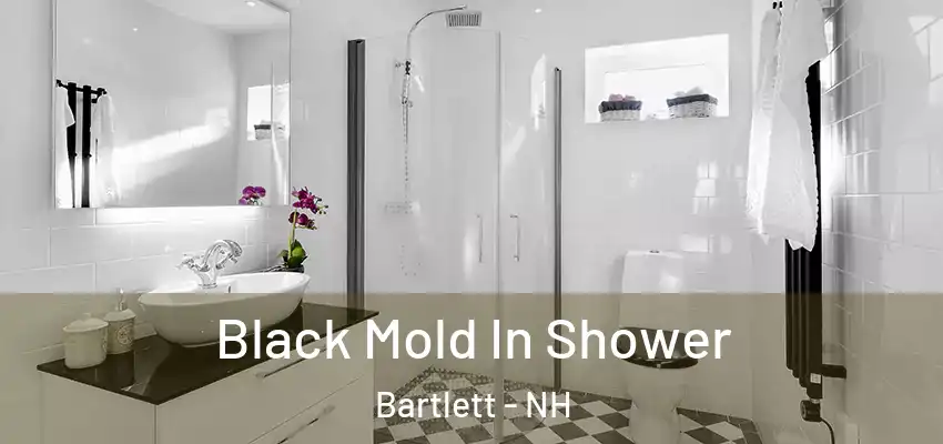 Black Mold In Shower Bartlett - NH