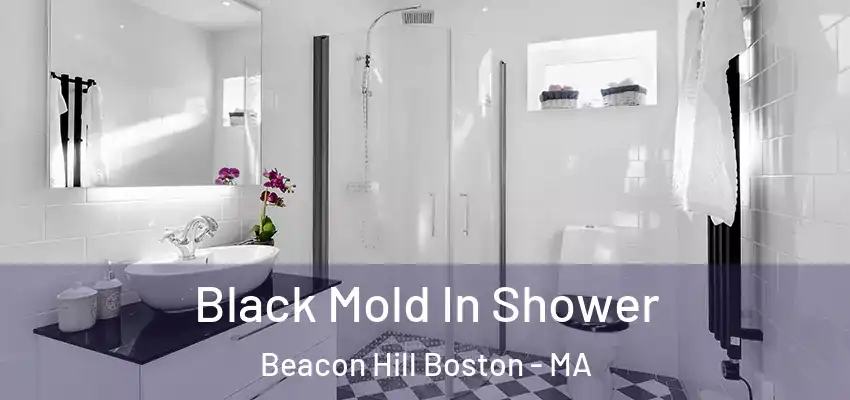  Black Mold In Shower Beacon Hill Boston - MA