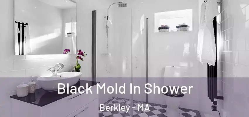  Black Mold In Shower Berkley - MA