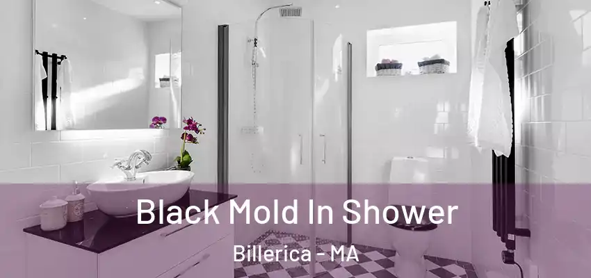 Black Mold In Shower Billerica - MA