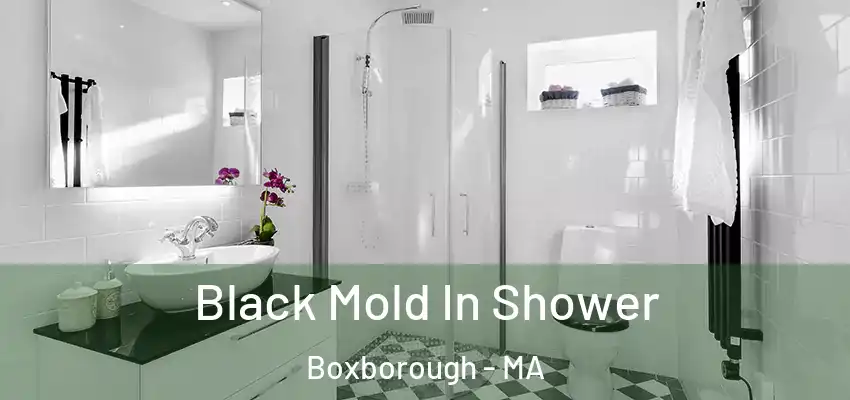 Black Mold In Shower Boxborough - MA