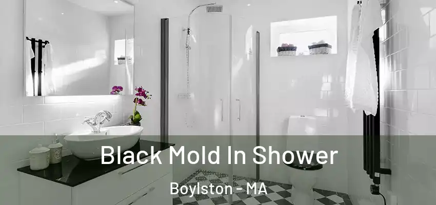 Black Mold In Shower Boylston - MA