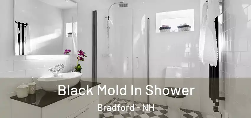 Black Mold In Shower Bradford - NH