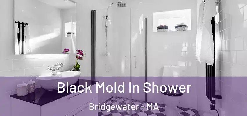  Black Mold In Shower Bridgewater - MA