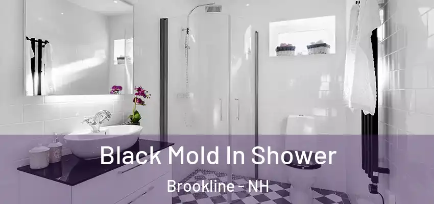 Black Mold In Shower Brookline - NH