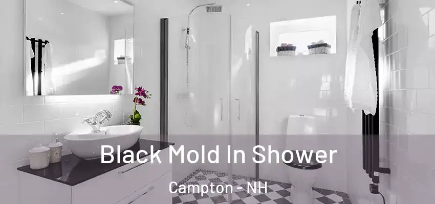 Black Mold In Shower Campton - NH