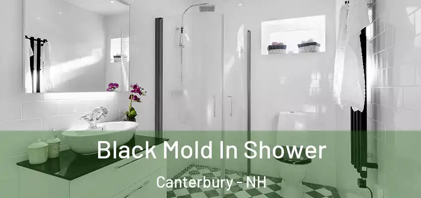 Black Mold In Shower Canterbury - NH