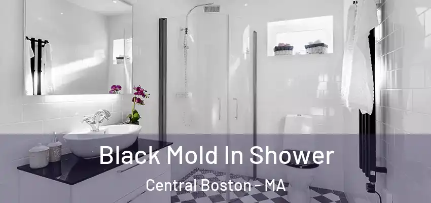  Black Mold In Shower Central Boston - MA