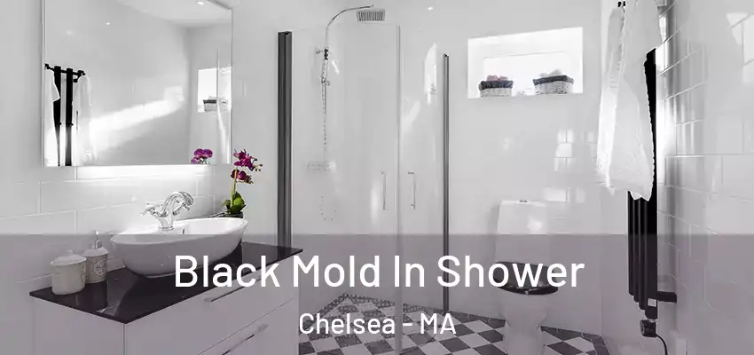  Black Mold In Shower Chelsea - MA
