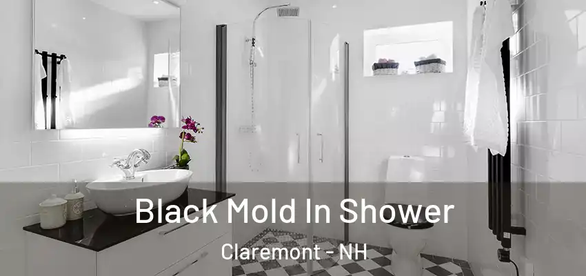  Black Mold In Shower Claremont - NH