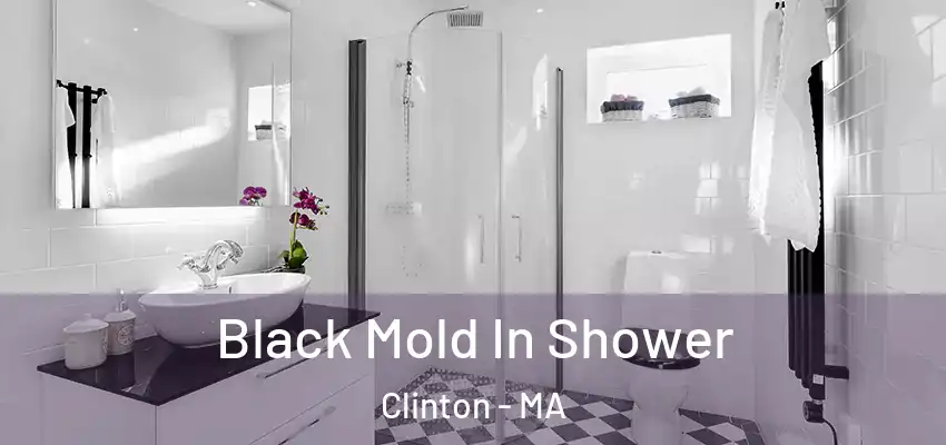 Black Mold In Shower Clinton - MA