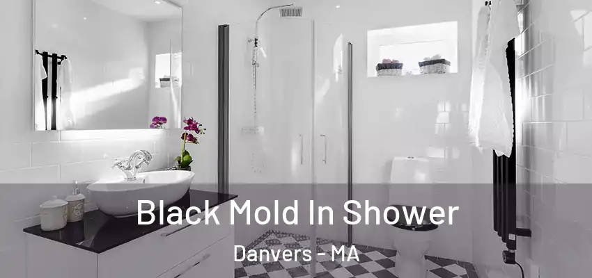 Black Mold In Shower Danvers - MA
