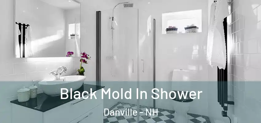 Black Mold In Shower Danville - NH