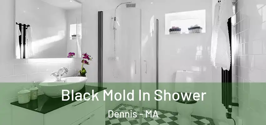 Black Mold In Shower Dennis - MA
