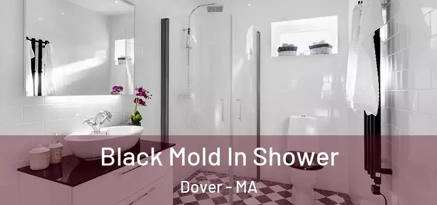 Black Mold In Shower Dover - MA