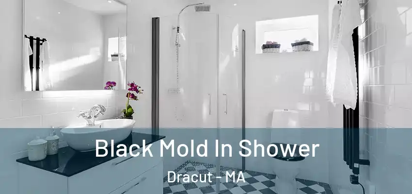  Black Mold In Shower Dracut - MA