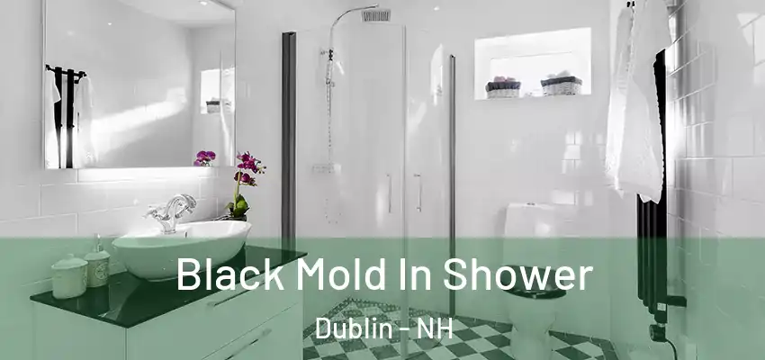 Black Mold In Shower Dublin - NH