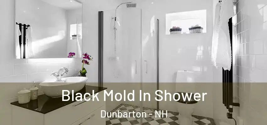 Black Mold In Shower Dunbarton - NH