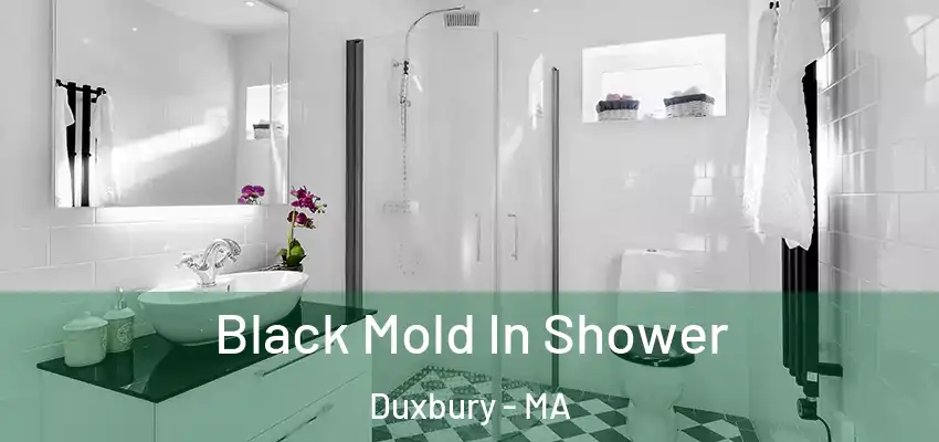  Black Mold In Shower Duxbury - MA
