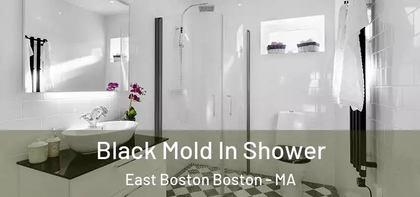Black Mold In Shower East Boston Boston - MA